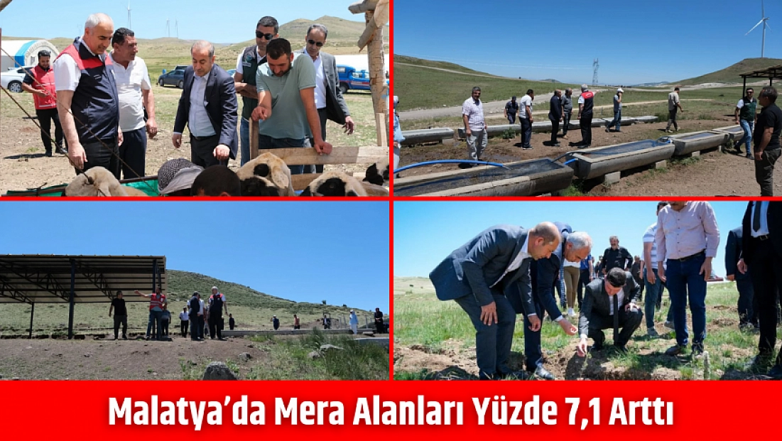 Malatya’da mera alanları yüzde 7,1 arttı