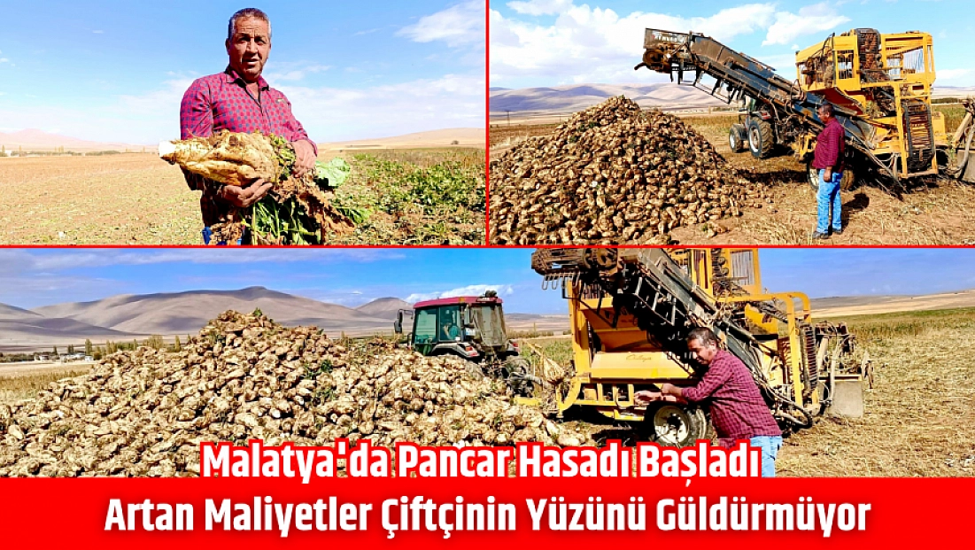 Malatya'da pancar hasadı başladı! Artan maliyetler çiftçinin yüzünü güldürmüyor