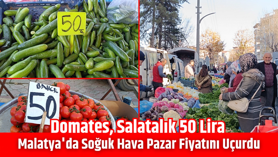 Malatya'da soğuk hava pazar fiyatını uçurdu: Domates, salatalık 50 lira…