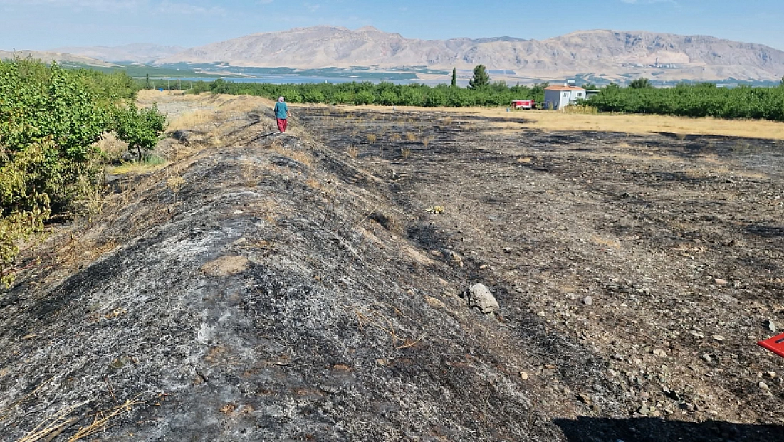 Malatya'da yangın paniği: 8 dekar alan ve meyve ağaçları zarar gördü