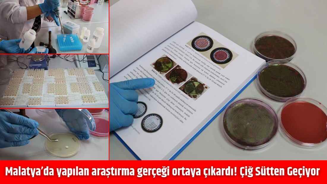 Malatya’da yapılan araştırma gerçeği ortaya çıkardı! Çiğ Sütten Geçiyor