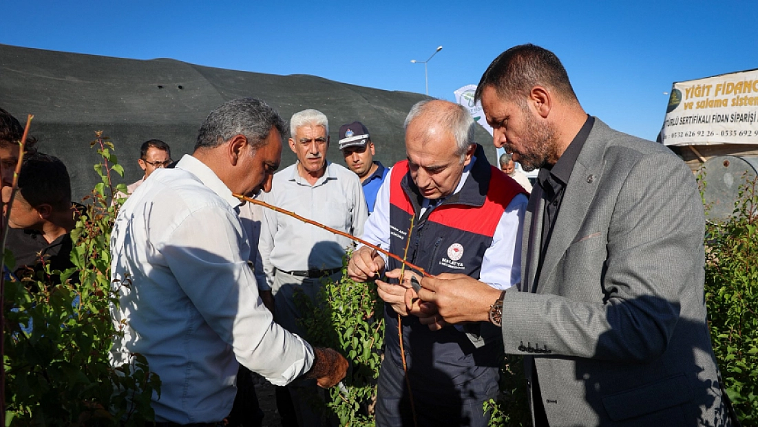 Malatya’da yılda 850 bin sertifikalı fidan üretiliyor