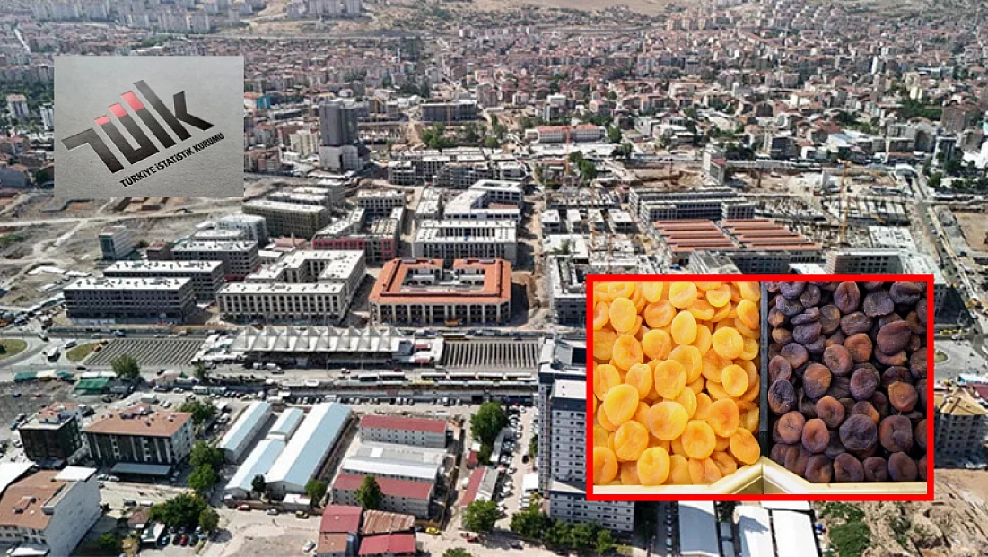 Malatya kayısısında rekor sezon