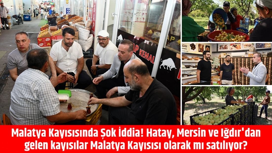 Hatay, Mersin ve Iğdır'dan gelen kayısılar Malatya Kayısısı olarak mı satılıyor?