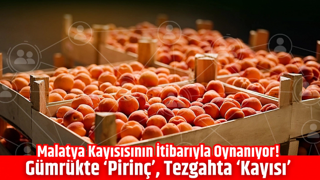 Malatya kayısısının itibarıyla oynanıyor! Gümrükte ‘pirinç’, tezgahta ‘kayısı’