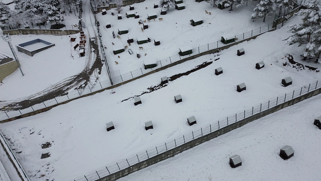 Malatya’nın ikinci hayvan barınağı hizmete açıldı
