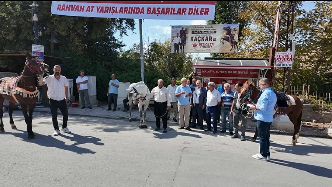 Malatya’nın şampiyon atı Kaçkar yeniden piste çıkıyor! Hedef Erzurum’da zafer