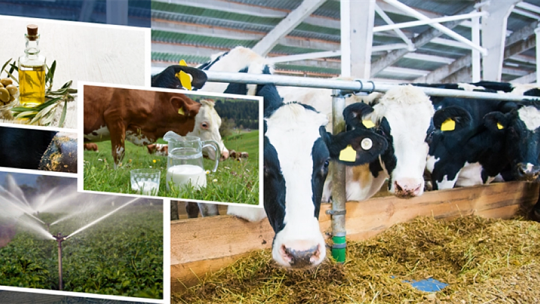 Malatyalı Üreticiye Can Suyu: 2 Milyar TL Hesaplara Aktarıldı…