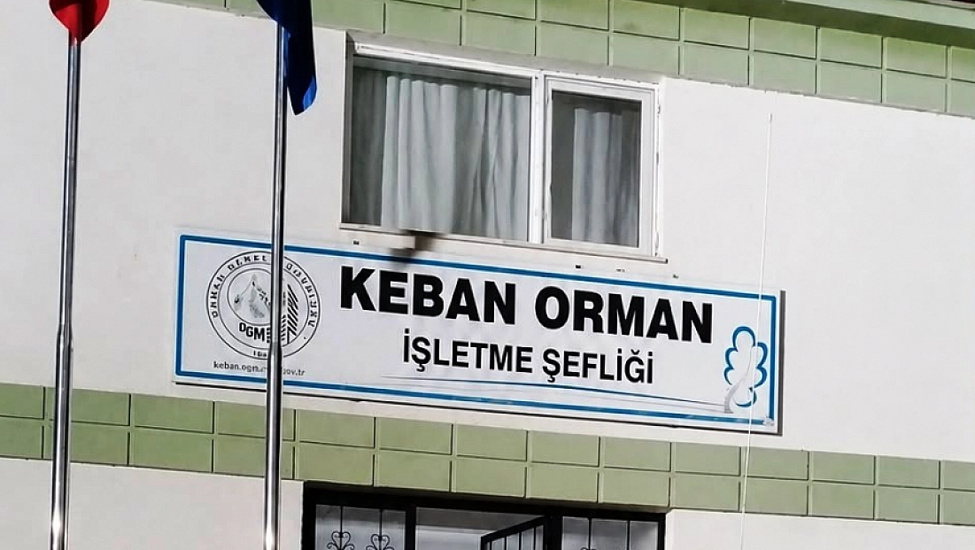 Orman yangınları için kritik günler: Yetkililerden peş peşe uyarı