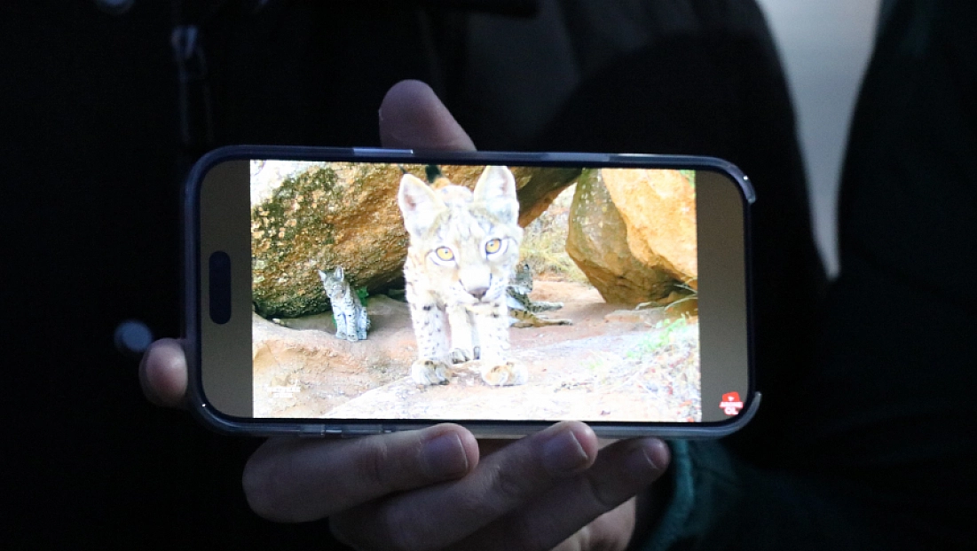 Ormanın hayaletleri ailece görüntülendi