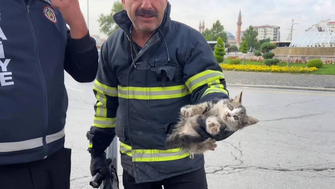 Otomobilin motoruna sıkışan yavru kediyi itfaiye kurtardı