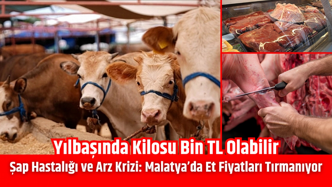 Şap hastalığı ve arz krizi: Malatya’da et fiyatları tırmanıyor| Yılbaşında kilosu bin TL olabilir