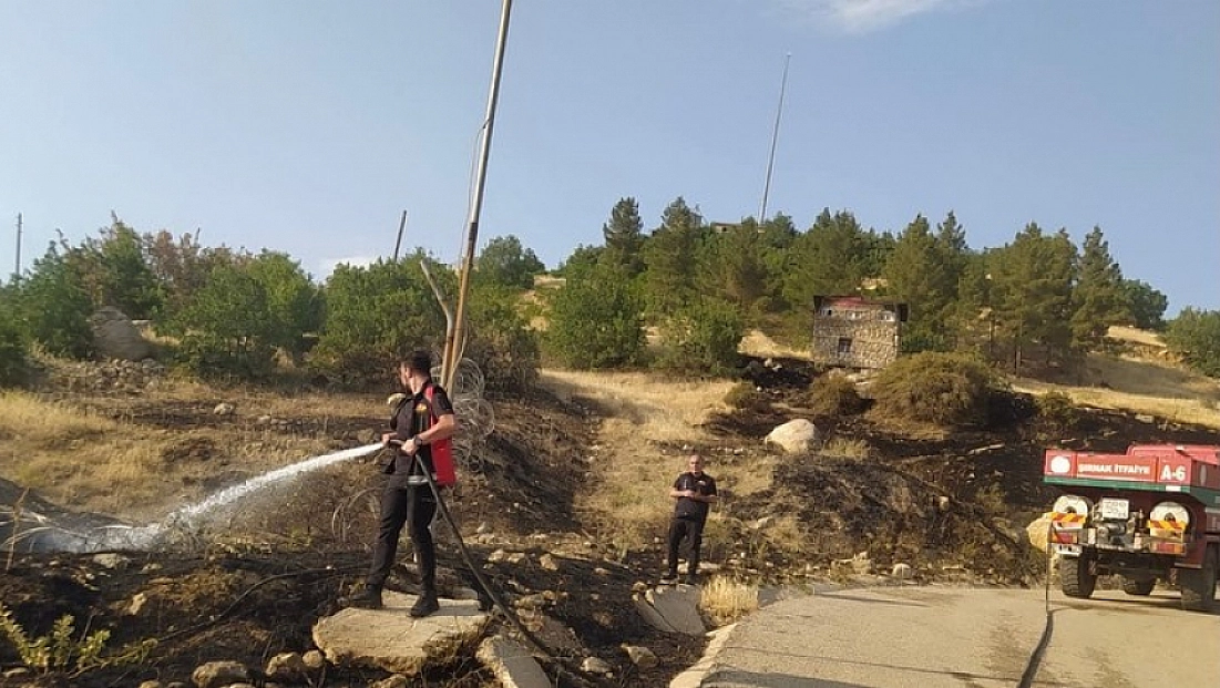 Şırnak 2025’te rekor kırdı