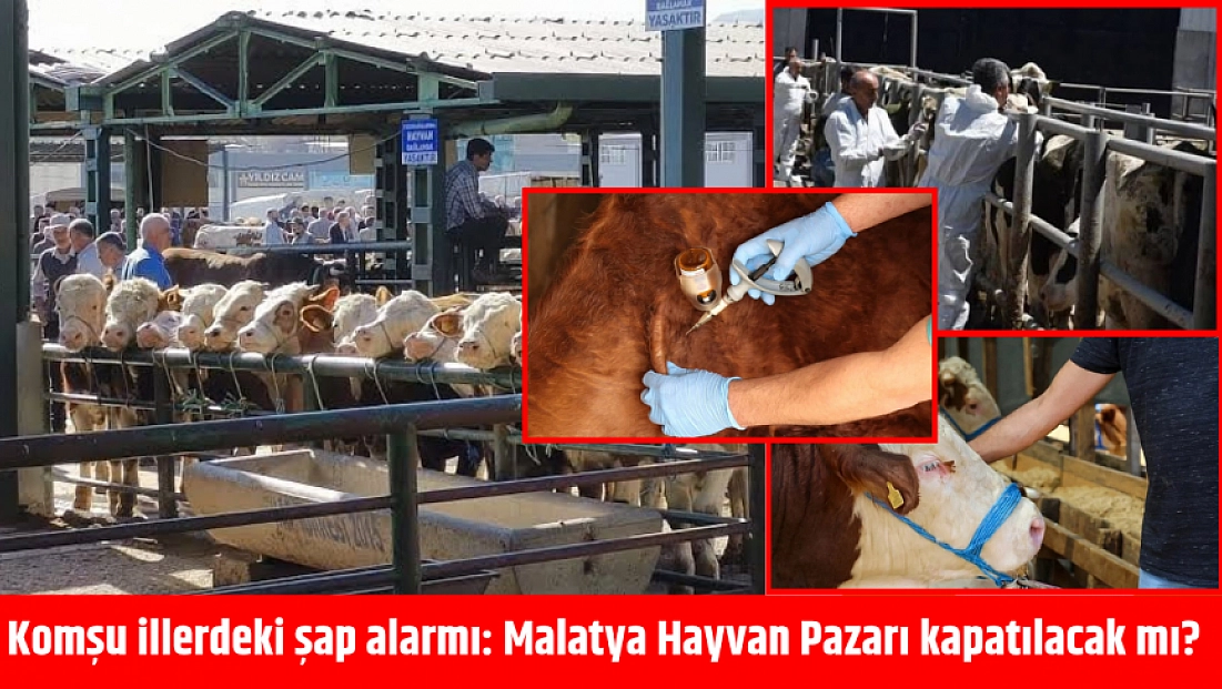 Sivas ve Kayseri kapattı, Malatya Hayvan Pazarı kapanacak mı?