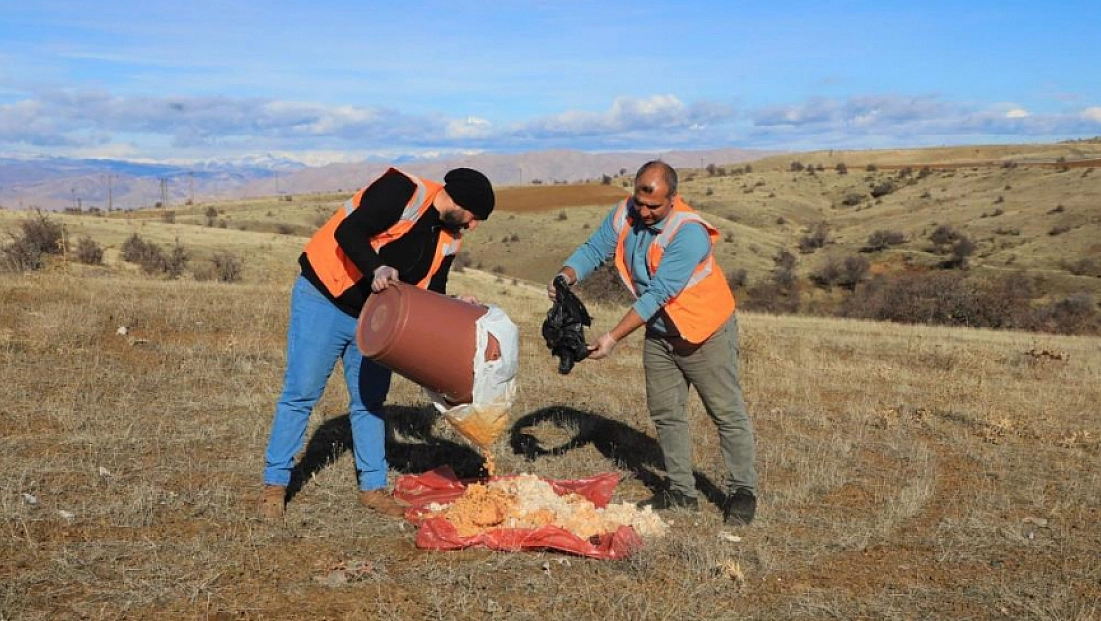 Sokak ve yaban hayvanları için doğaya yem bırakıldı