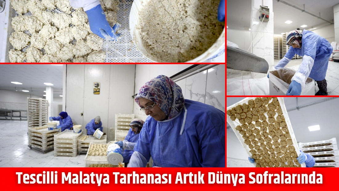 Tescilli Malatya tarhanası artık dünya sofralarında