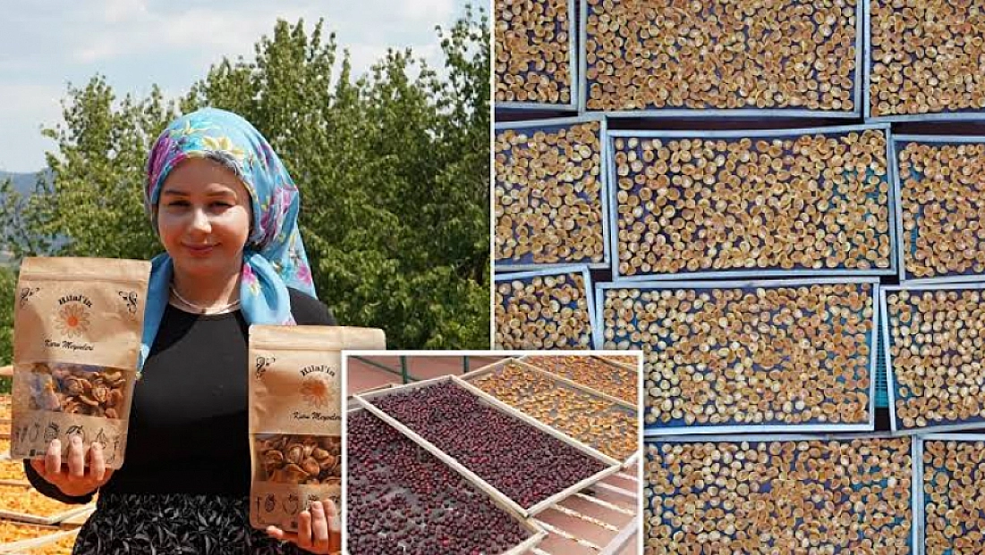 Tüccarın almadığı kayısıları geleneksel yöntemle kurutup satıyor!