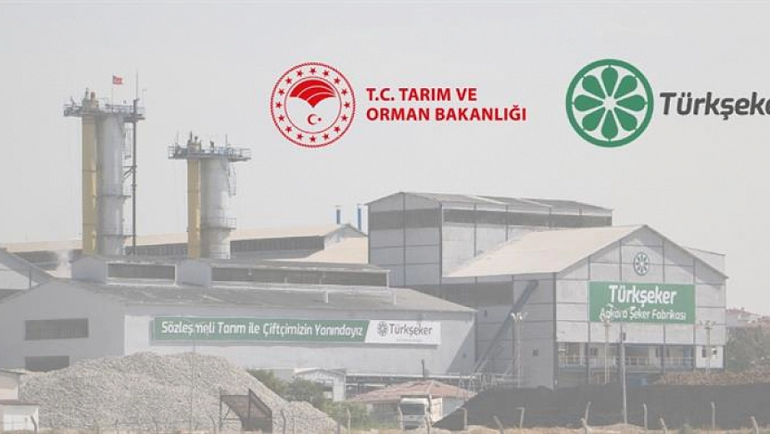 TÜRKŞEKER 182 sürekli işçi alımı başladı: Başvuru şartları ve kontenjan dağılımı