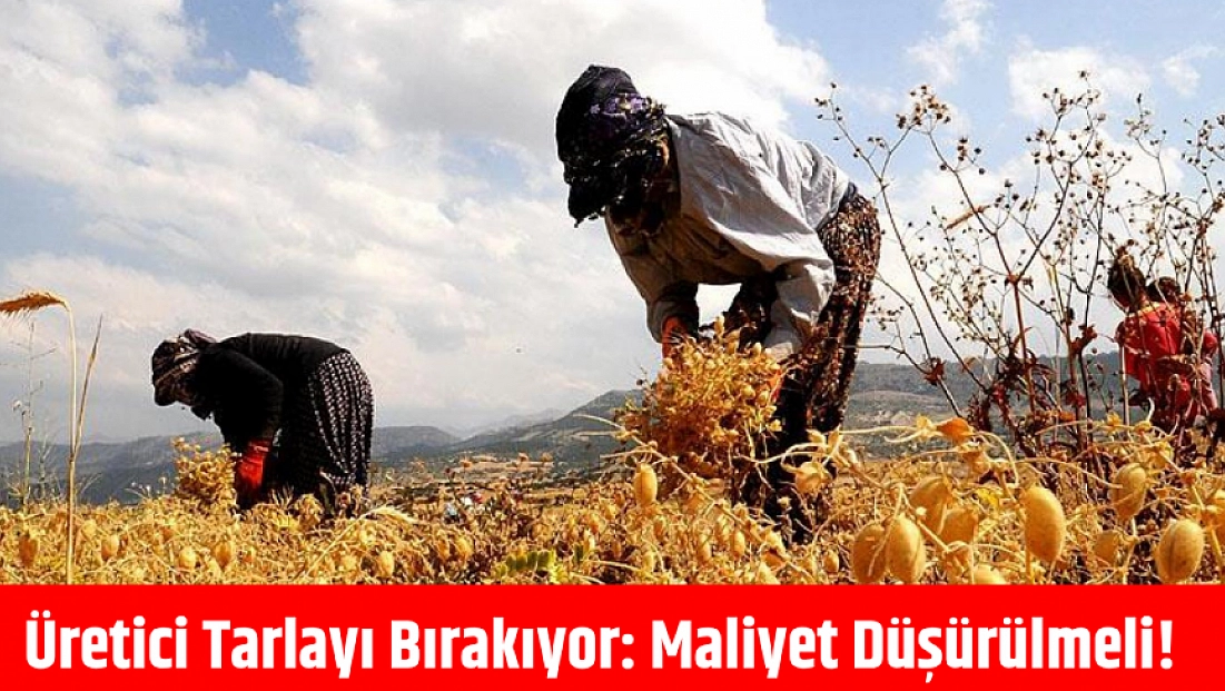 Üretici Tarlayı Bırakıyor: Maliyet Düşürülmeli!