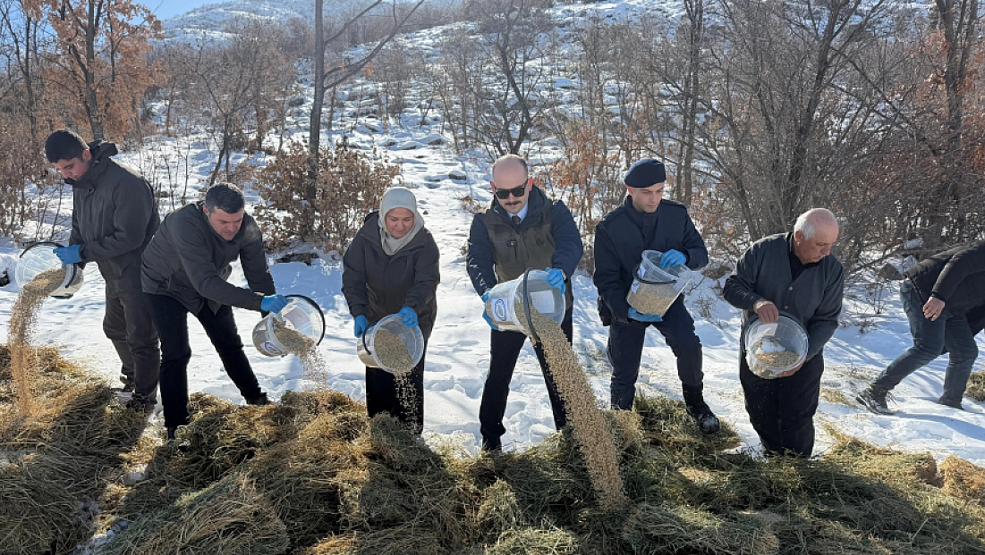 Yaban hayvanları için doğaya yem bırakıldı