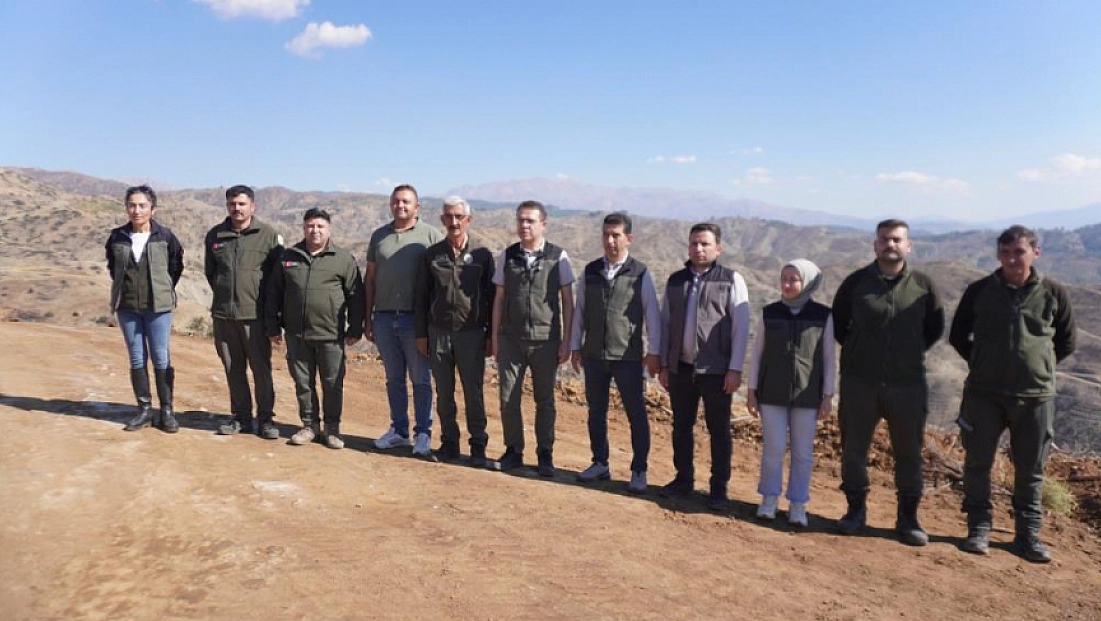 Yanan ormanlara 1 milyon fidan dikilecek