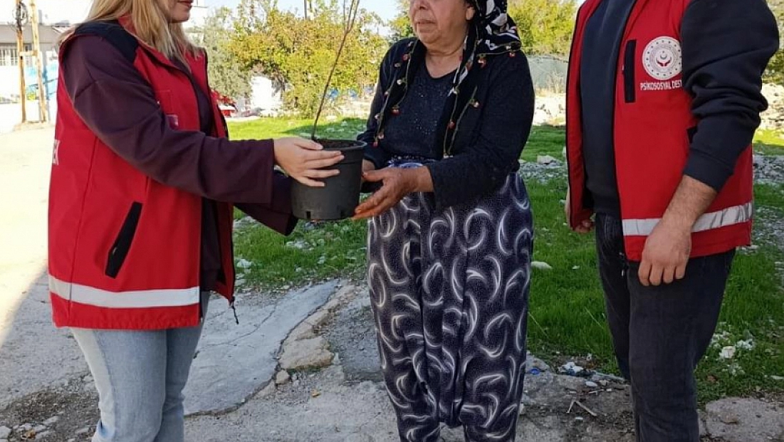 Yaşlılara fidan dağıtıldı
