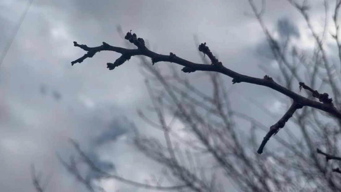 Yoğun kar yağışları çiftçinin yüzünü güldürdü