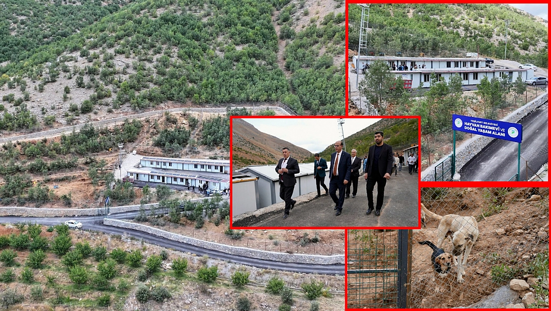 Malatya’da 50 dönümlük alanda inşa edildi! Sahipsiz hayvanların yuvası olacak