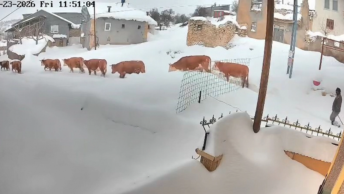 Malatya’da yoğun kar yağışı hayatı durma noktasına getirdi
