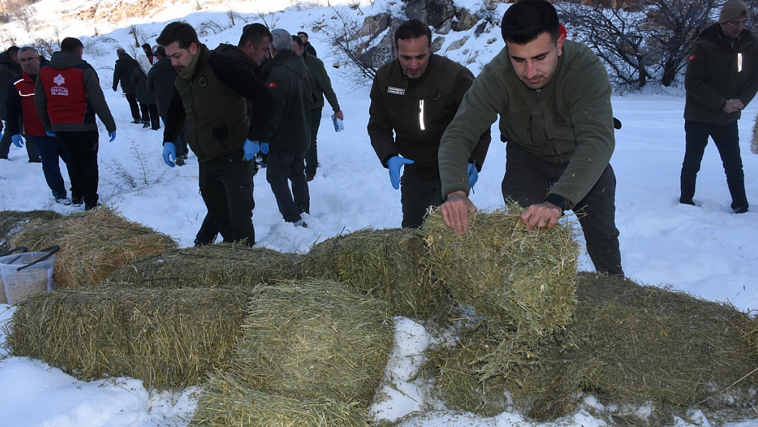 Malatya’da ekipler sahada: Yaban hayvanları unutulmadı