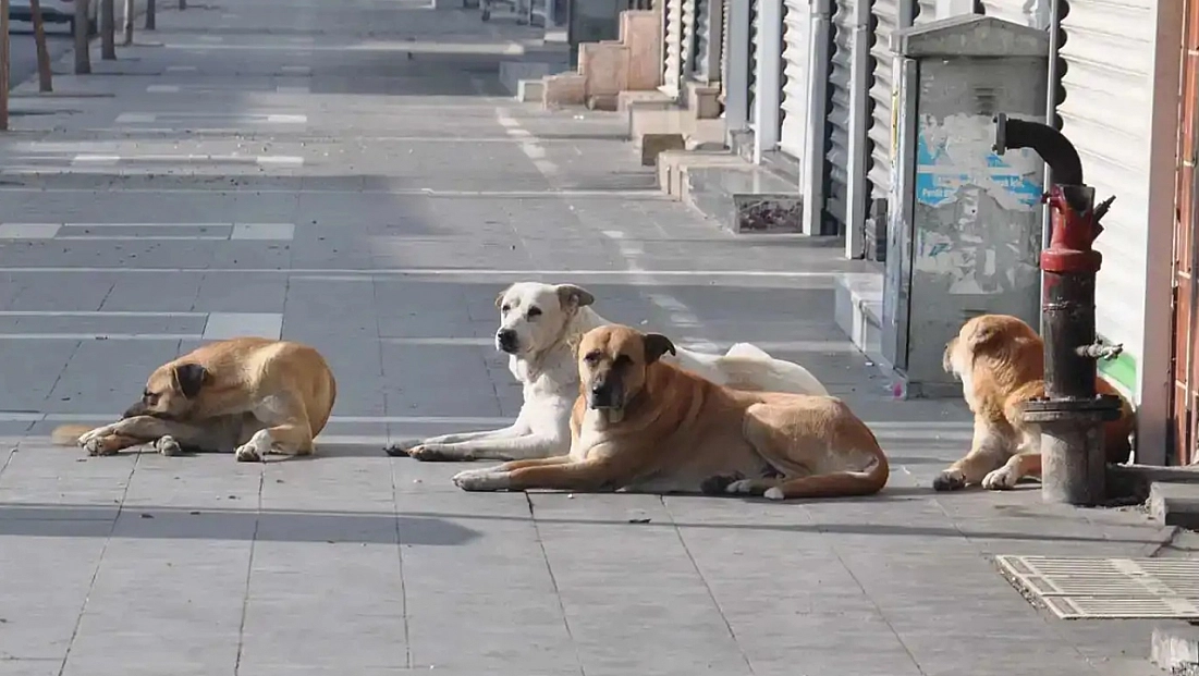 Malatya’da belediyeler Eylül'de denetlenecek