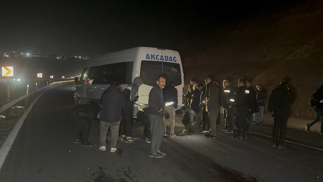 Malatya'da milyonluk yarış atları kaçtı, 8 at telef oldu