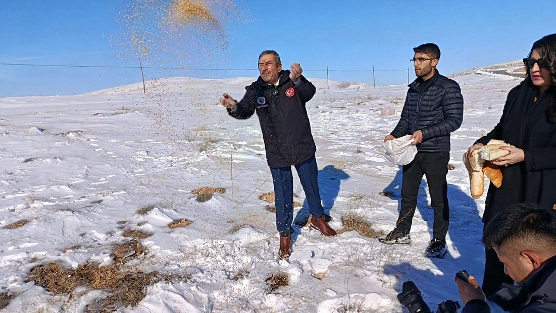 Malatya'da Zorlu Kış Seferberliği: Yaban Hayvanları İçin Yemleme Başladı