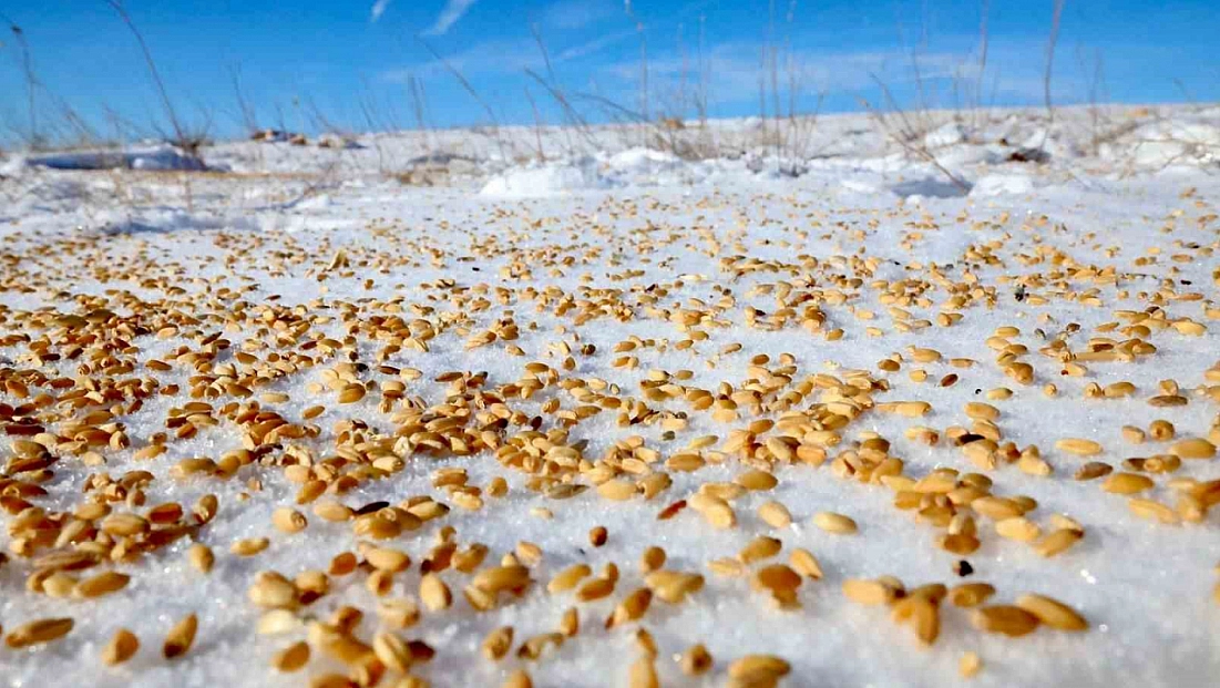 Malatya yaban hayvanları unutulmadı
