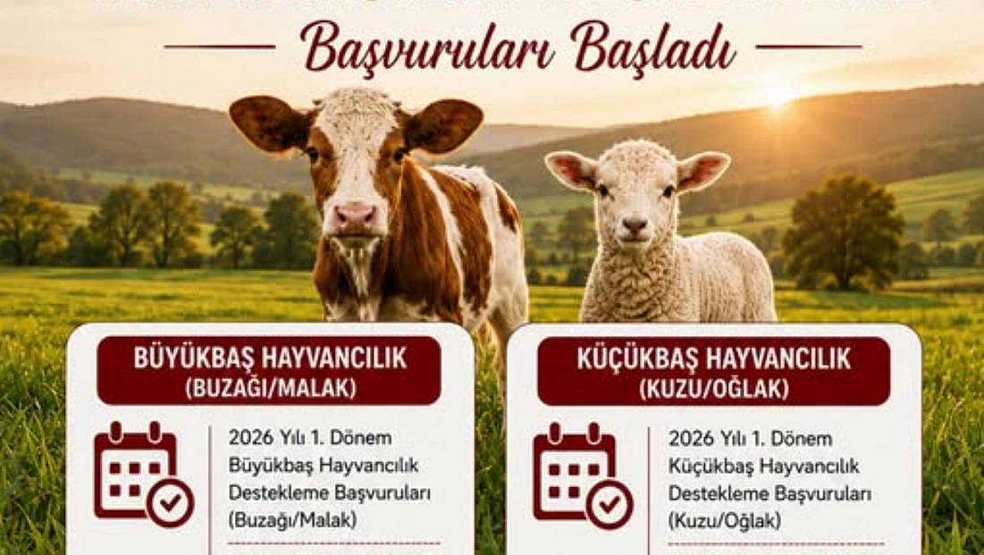 Malatya İl Tarım ve Orman Müdürlüğü duyurdu! Başvurular başladı