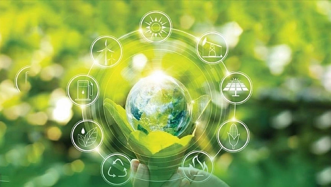 Yeşil dönüşüme 250 milyon liralık destek