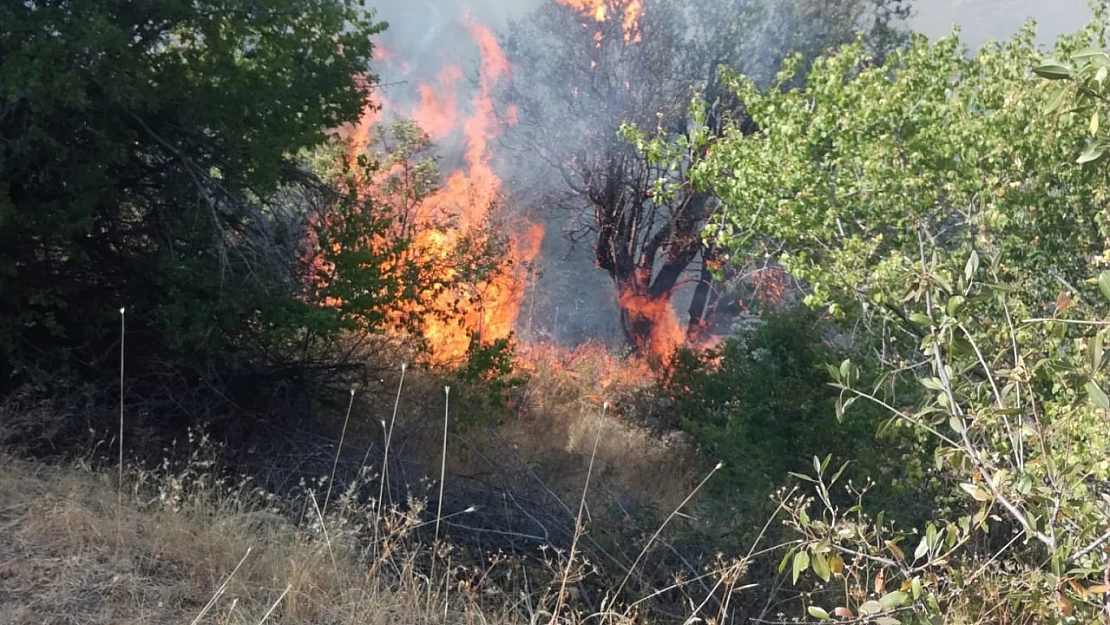 150 dönüm ormanlık alan zarar gördü