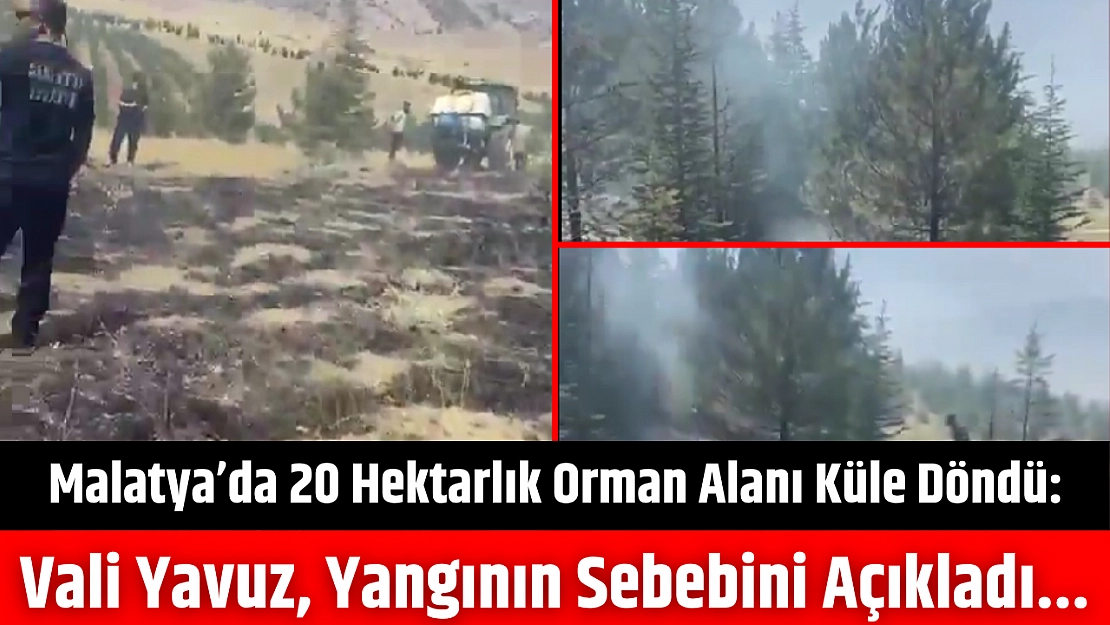 Malatya'da 20 Hektarlık Orman Alanı Küle Döndü: Vali Yavuz, Yangının Sebebini Açıkladı...