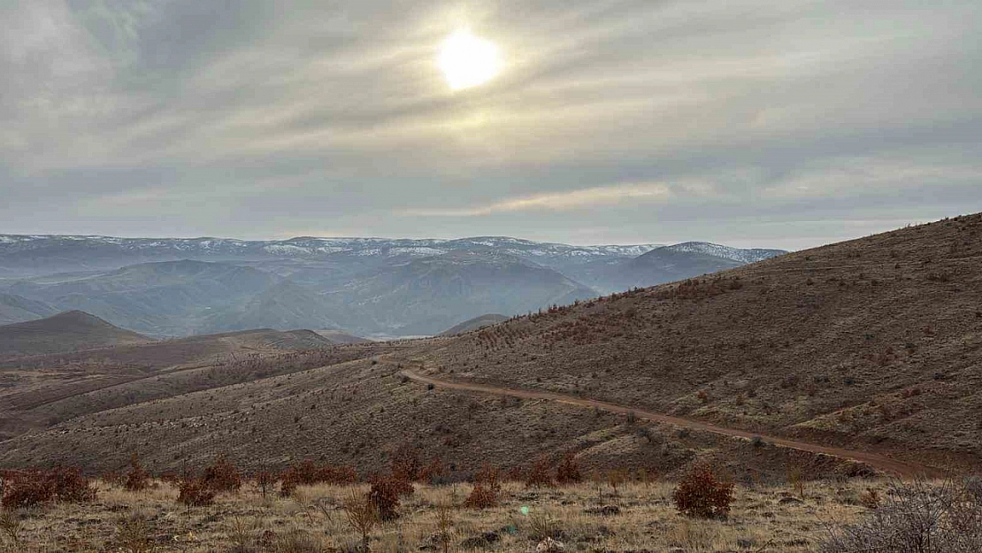Gözler Malatya'ya çevrildi: NTE'de Türkiye'nin yeni merkezi