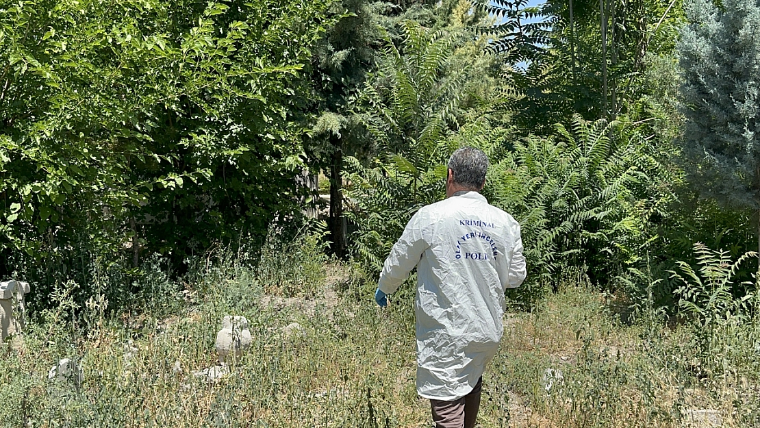 Malatya'da 71 yaşındaki adam ağaca asılı halde bulundu