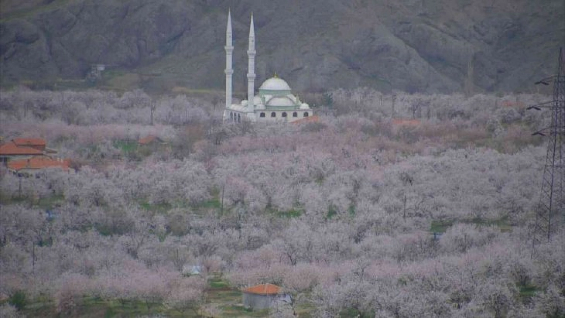 Soğuk havayı kısmen atlattık