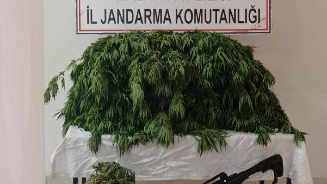 Esrar ele geçirildi