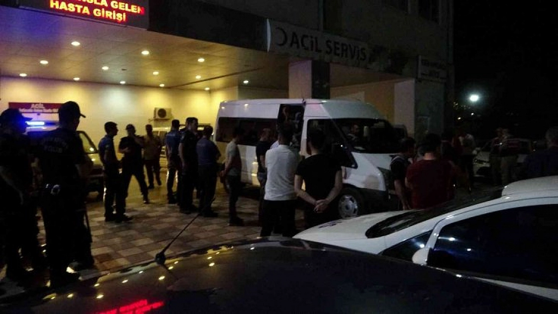 Kayısı koparma kavgası