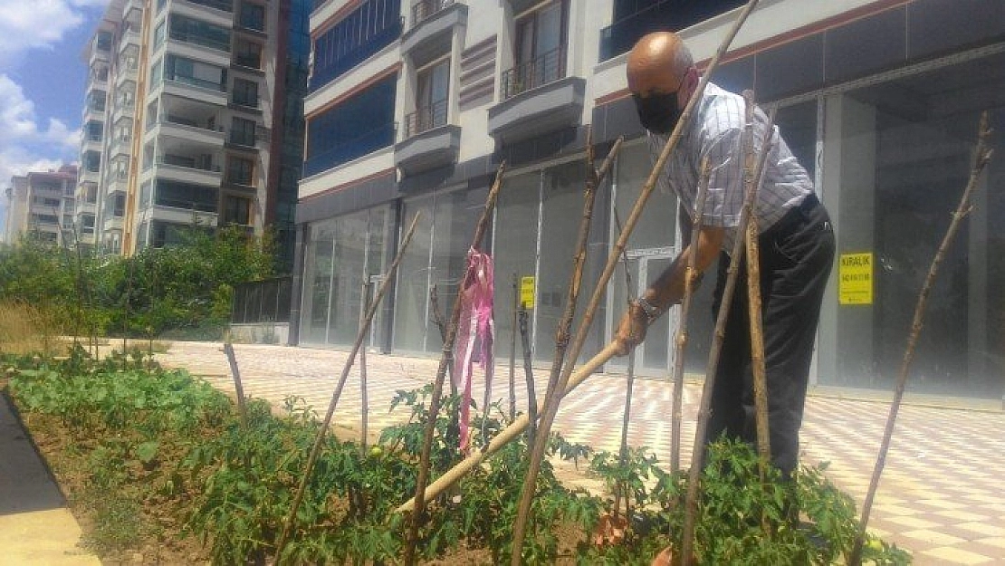 Apartmanın önüne hobi bahçesi