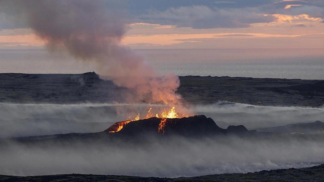 'Kuş dedektifi' patlamaya tanık oldu