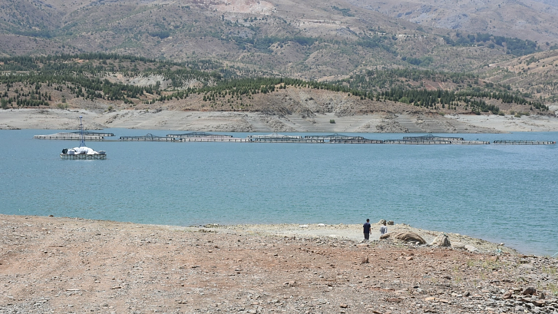 Malatya'da alabalık üretimine devlet desteği: Tesis sayısı 66'ya, üretim 16 bin tona çıkacak!