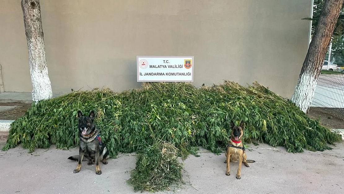 Dronlu uyuşturucu operasyonu