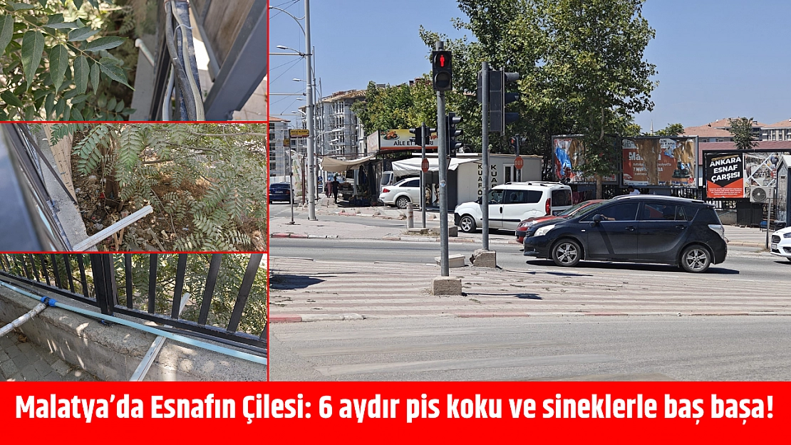 Malatya'da Esnafın Çilesi: 6 aydır pis koku ve sineklerle baş başa!