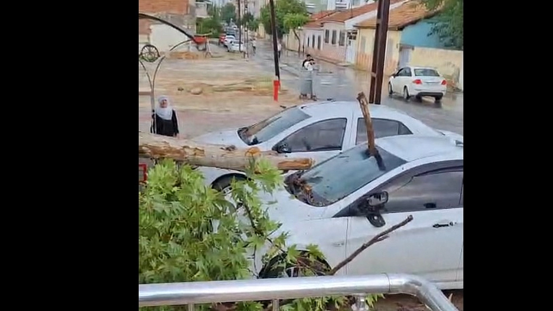 Malatya'da fırtınada devrilen ağaç otomobile ok gibi sapladı
