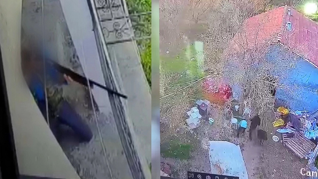 Malatya'da komşusunun bahçesini taradı! Serbest bırakıldı!